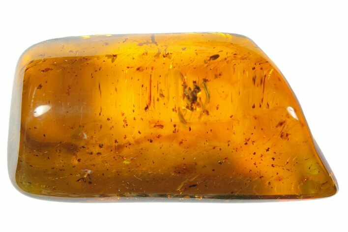 Polished Chiapas Amber ( g) - Mexico #114702